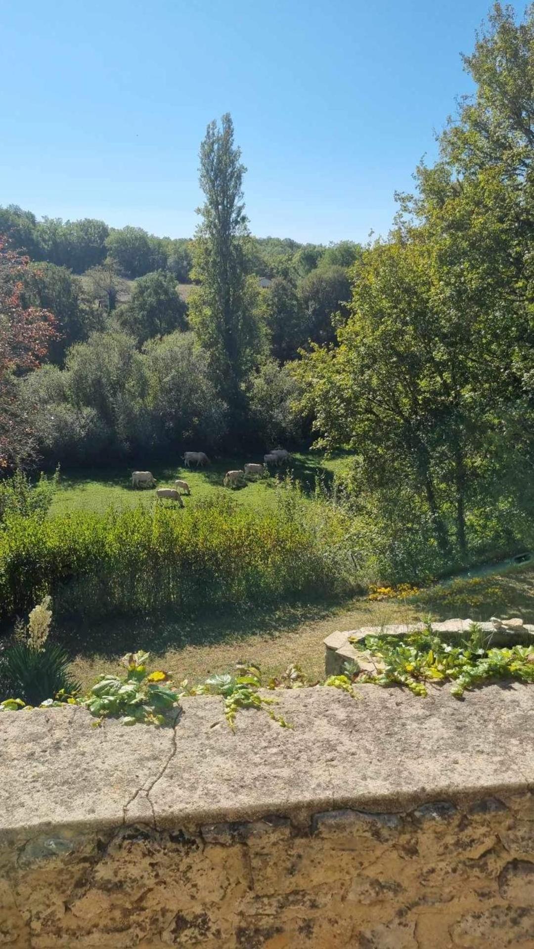 Le Manoir De St Marcel Villa Saint-Marcel-du-Périgord Стая снимка